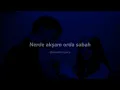 Erol Evgin & Așkın Nur Yengi - Söyle Canım (sözleri)