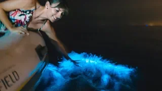 INSANE GLOWING BIOLUMINESCENCE, Cats & More || Q&A Sailing Ecuador