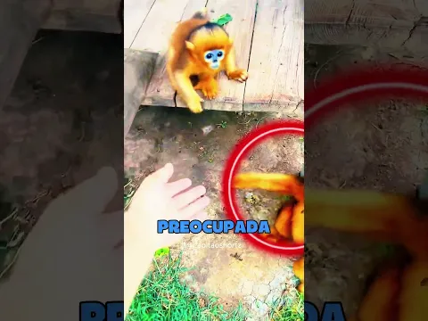 A MAIOR PROTETORA 😍