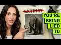 The Real Reason We Should Revive Extinct Animals