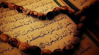 آيات تجلب الراحة والطمأنينة سورة التوبة بصوت الشيخ ماهر المعيقلي 