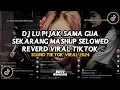 Download Lagu DJ LU PIJAK SAMA GUA SEKARANG || DJ CAMPURAN SLOWED REVERD VIRAL TIKTOK 2024