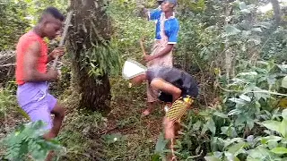 egg of life