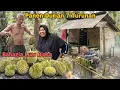 Download Lagu Panen Durian 7 Turunan || Bahagia Luar Biasa, suasana pecah saat menunggu durian jatuh