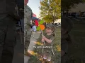 Wait WHY did it spin backwards