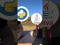 python vs java in gaming