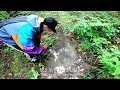 ARARE - ウミガメ Sea Turtle (official music video)