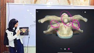 الدعامة في الإنسان الهيكل المحوري ج2 