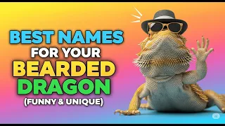 STOP Don t Name Your Bearded Dragon Before Seeing THESE 75 Genius Ideas