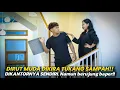 Download Lagu DIRUT MUDA DIKIRA TUKANG SAMPAH! DIKANTORNYA SENDIRI. NAMUN BERUNUNH BAPES…