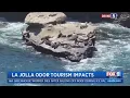 Download Lagu La Jolla Cove's smell returns, impacting tourist traffic