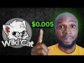 Download Lagu WIKI CAT HOLDERS | Generational wealth is about to be MADE!!
