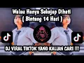 Lagu BINTANG 14 HARI • WALAU HANYA SEKEJAB DIHATI MENGAPA BY PI7U VIRAL TIKTOK 2025 YANG KALIAN CARI !!
