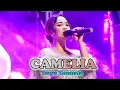 Download Lagu CAMELIA l TASYA ROSMALA l BOSS MUSIC  (OFFICIAL LIVE MUSIC WEDDING PARTY )