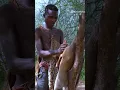 Download Lagu Hadza Tribe Adventures | Eating an antelope.
