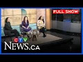 Lagu P.E.I. diesel prices fall in unscheduled adjustment | CTV Your Morning Atlantic for Feb. 18, 2026