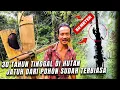Lagu Pemberani...Rela Mempertaruhkan Nyawa, Pak Darus Naik Pohon Aren Di Ketinggian 50 Meter