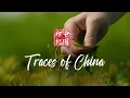 4K Traces of China II How tea fueled Britain s Industrial Revolution