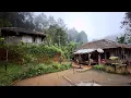 Download Lagu Hidup di Desa, Pelipur Lapar Saat Menginap di Rumah Tengah Hutan Terasa Kebersamaanya