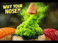 Why Wasabi Attacks Your Nose Instead Of Your Tongue