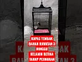 Download Lagu KAPAS TEMBAK BETINA MULAI RAJIN BUNYI
