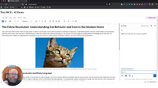 TinyMCE AI for Developers - How to customize the chat feature