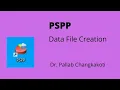 PSPP Data file creation