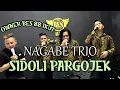 Download Lagu SIDOLI PARGOJEK - NAGABE TRIO (Cover) / Live Bersama BES 88 Parfum / Owner BES 88 Ikut.