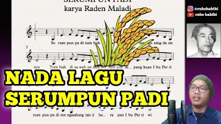 Download LAGU SERUMPUN PADI MP3