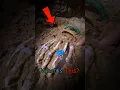 Best of Mineral Finds ⛏️💎