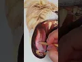 Drawing A Lion With Color Pencils