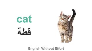 نطق كلمة قطة Cat باللغة الانجليزية  نطق كلمة قطة Cat باللغة الانجليزية