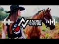 Download Lagu Di Paullo e Paulino Bond'Xote-Amo De Primavera (Forrozão Remix)