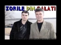 Download Lagu Zorile din Galati - \