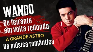 A História de Wando: O Cantor do Amor e da Paixão