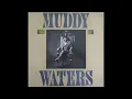 Muddy Waters – I'm A King Bee