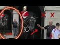 Download Lagu Rude and Disrespectful man went straight into the box and tried to touch the horse!