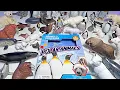 Polar Animals Collection - Polar Bear Walrus Seal Whale Penguin Narwhal Arctic Fox