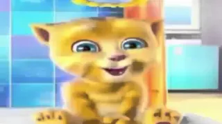 فرصة ذهبية أمينة كرم طيور الجنة YouTube 