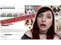 Puppy Scammed 7 Tips On How To Avoid Scammers
