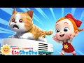 Download Lagu Selamat Datang di Rumah Kami | Saling mencintai | Lagu Lucu | Lagu Anak | LiaChaCha Bahasa Indonesia