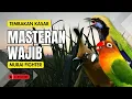 Download Lagu Masteran Wajib Murai Fighter Full Tembakan #masteranmuraibatu #masteranmuraifullisian