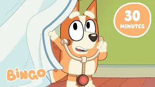 Playing Games with Bingo and Friends! 🧡 ✨ | Bluey Full Episodes | Bingo - Official Channel