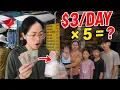 The Reality of Living on a Low Income for a Family of Five - Is Vietnam Really Cheap