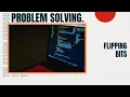 Flipping Bits