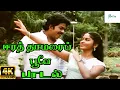 Download Lagu Eera Thamarai Poove || ஈர தாமரைப்பூவே || SPB Love Melody H D Song