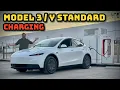 Download Lagu Tesla Model 3/Y Standard (69,5 kWh) laadanalyse!