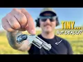 How Is This Legal Testing the NAA 22 LR Revolver for Concealed Carry