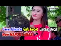 Download Lagu Prawan Kalimanta _ Gulu Pedot _ Bintang Kecil _ New Margo Laras