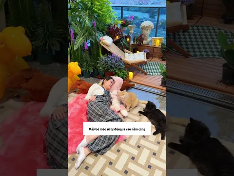 Vlog một ngày của người lười có hang ổ bí mật